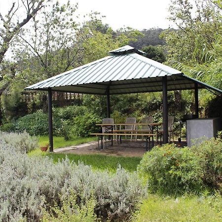 Senani Colonial Holiday Bungalow Nuwara Eliya Bagian luar foto