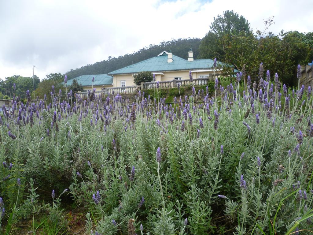 Senani Colonial Holiday Bungalow Nuwara Eliya Ruang foto