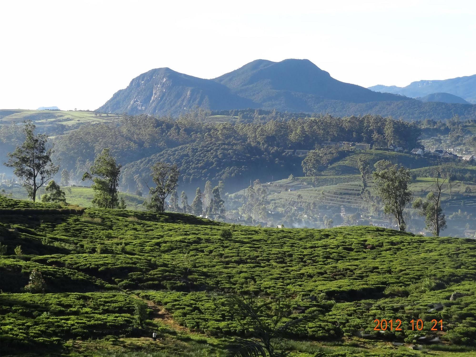 Senani Colonial Holiday Bungalow Nuwara Eliya Bagian luar foto